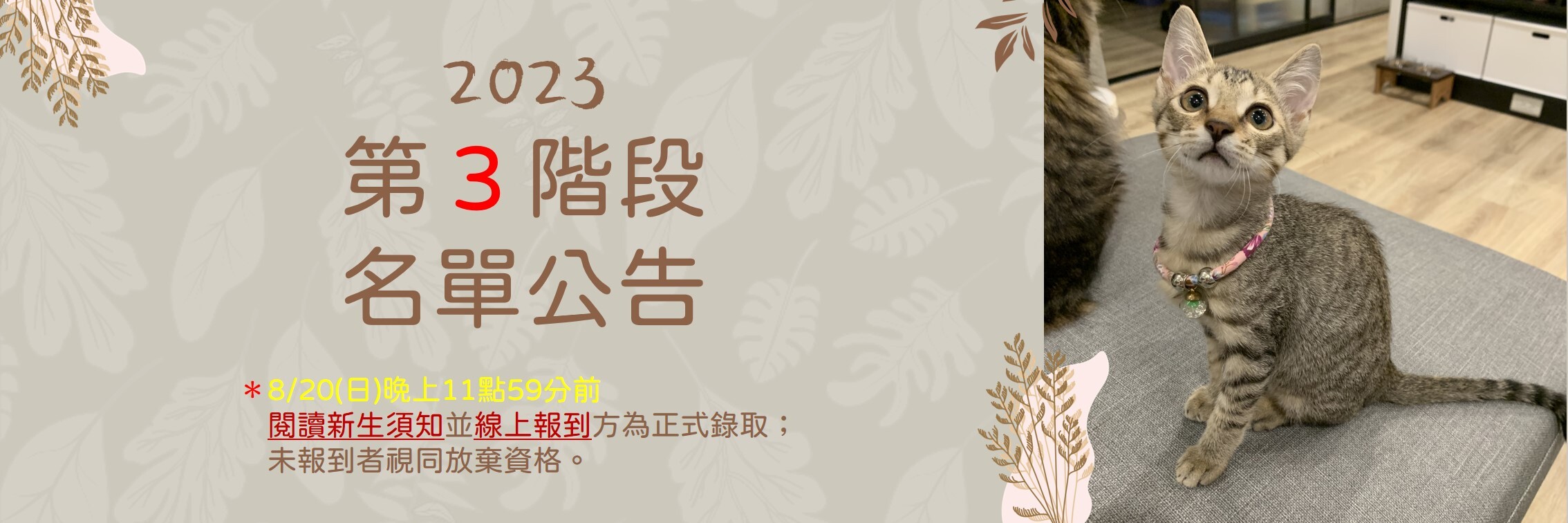 2023第三階段錄取名單